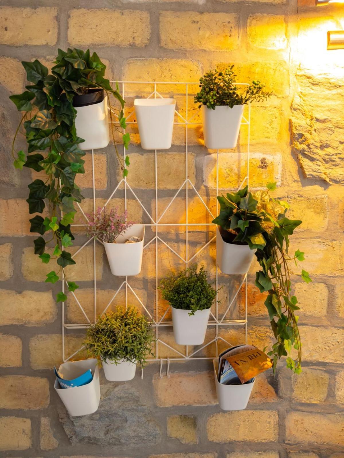 Ferienwohnung Bakina Kuca Golubac Exterior foto